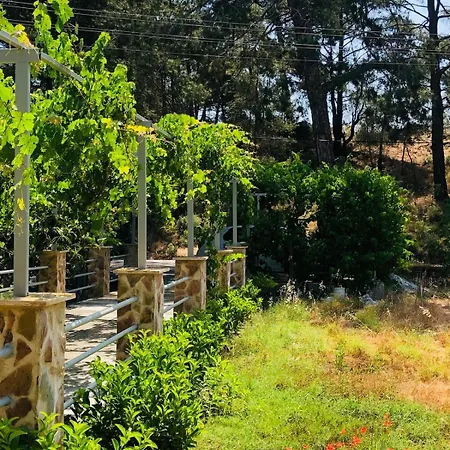 Hisaronu Detached House